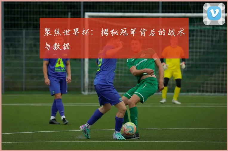 聚焦世界杯：揭秘冠军背后的战术与数据