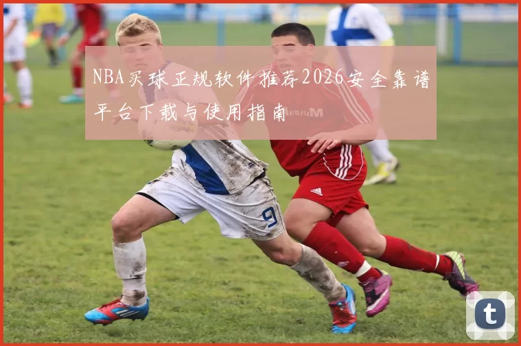 NBA买球正规软件推荐2026安全靠谱平台下载与使用指南