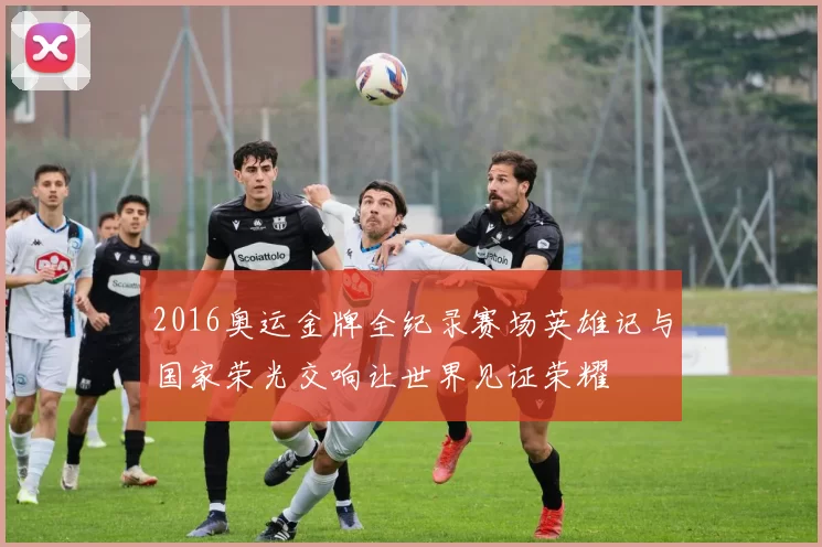 2016奥运金牌全纪录赛场英雄记与国家荣光交响让世界见证荣耀